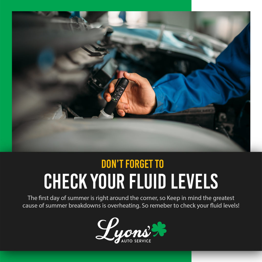Check Fluids